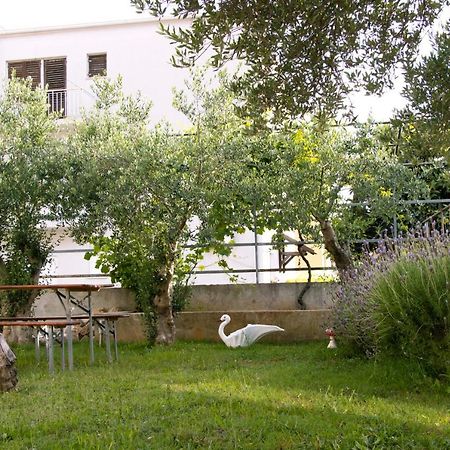 Pepi Apartments 1 Zadar Dış mekan fotoğraf